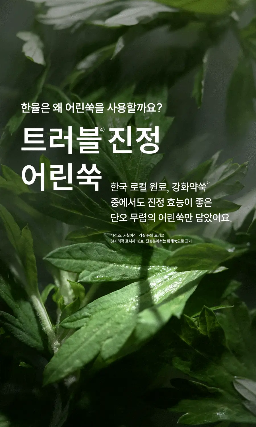 [짜서쓰는 클렌징밤] 한율 쑥시카 쑥머드팩 클렌징밤 100g 기획 (+15g) 상세페이지 53
